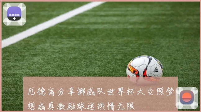 厄德高分享挪威队世界杯大合照梦想成真激励球迷热情无限