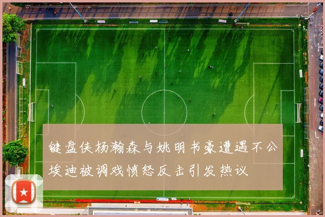 键盘侠杨瀚森与姚明书豪遭遇不公埃迪被调戏愤怒反击引发热议