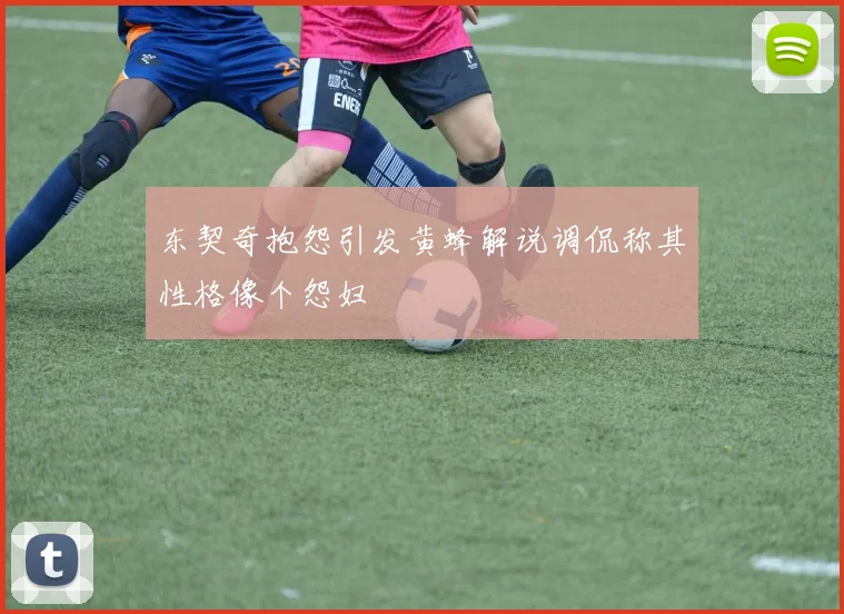 东契奇抱怨引发黄蜂解说调侃称其性格像个怨妇