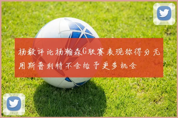 杨毅评论杨瀚森G联赛表现称得分无用斯普利特不会给予更多机会