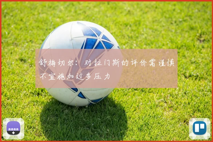 舒梅切尔：对拉门斯的评价需谨慎不宜施加过多压力