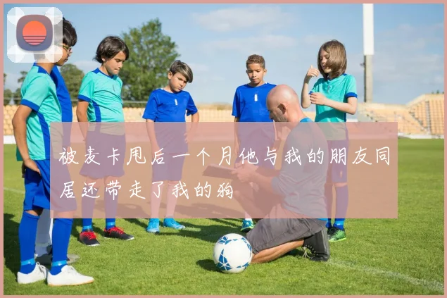 被麦卡甩后一个月他与我的朋友同居还带走了我的狗