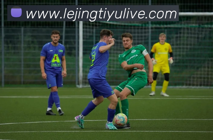 乐竟体育品牌故事